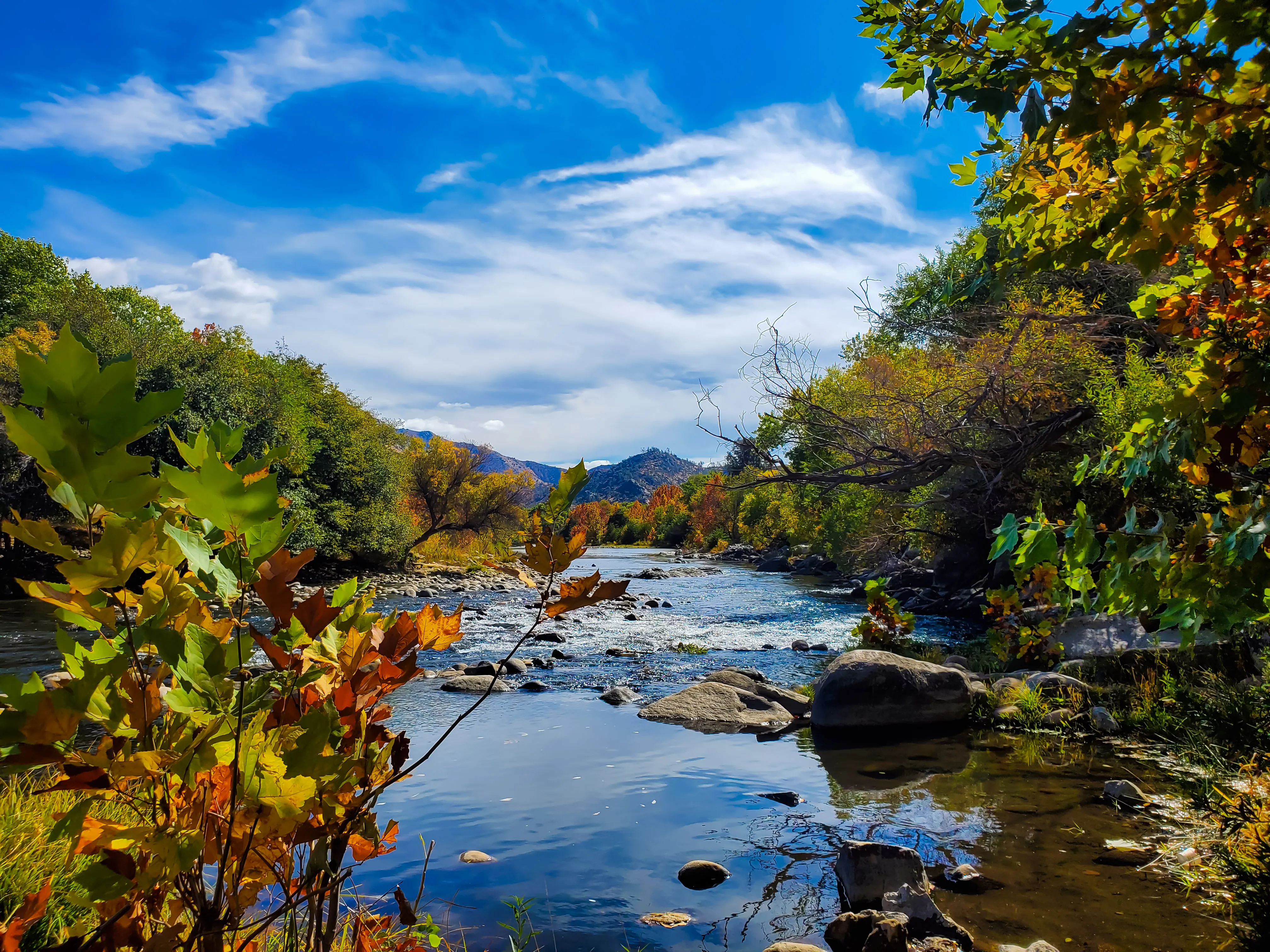A picture of the Kern River in Riverside, looking downstream